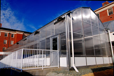 UNC Bell Tower Project Interim Greenhouse
